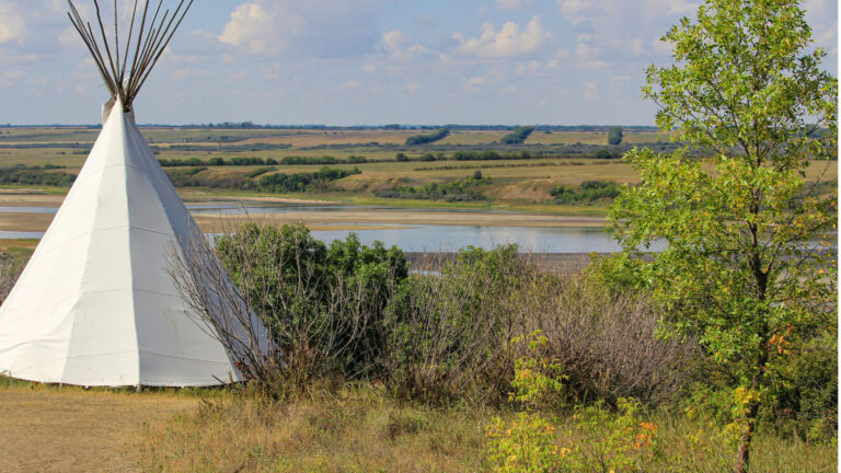 Vivez l’Aventure : Les hébergements insolites dans les campings piétons